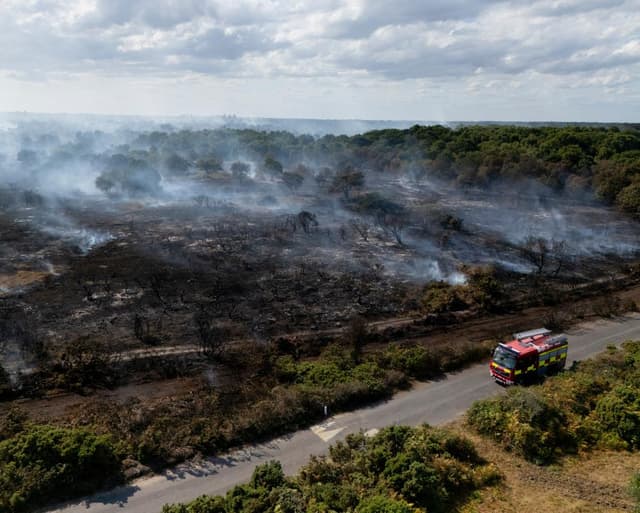 Revealed: Government quietly dropped plan to prepare England for wildfires