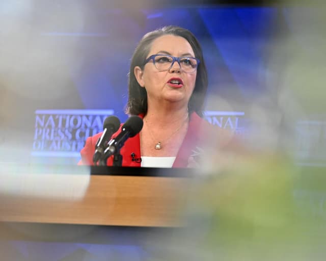 Australian industry reliant on gas for ‘foreseeable future’, resources minister tells press club