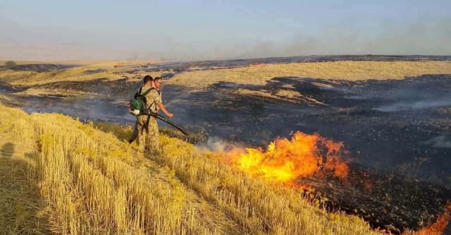 سلێمانی.. دوو ئاگر زیاتر لە 80 دۆنم و 180 دار لەئاغجەلەر سزنێد