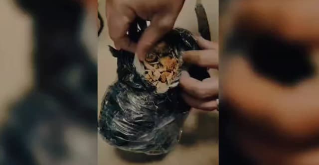 "قارچگ جادوویی" .. کەرکوک مینەی ژەهر ئەڵاجەویگ کەێد لە سلێمانی