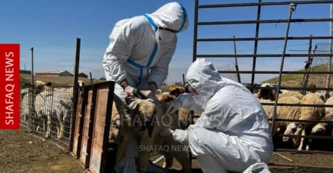 تسجيل إصابة جديدة بالحمى النزفية جنوبي الموصل