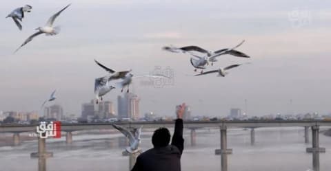 تبدأ غداً.. كتلة هوائية تلطف أجواء العراق