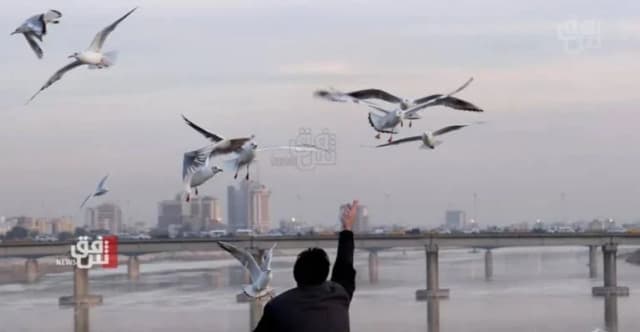 تبدأ غداً.. كتلة هوائية تلطف أجواء العراق