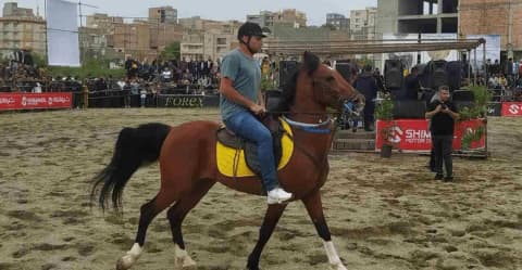 كوردستان الايرانية تستضيف الدورة الرابعة من مهرجان "شو سواره" للخيول الكوردية