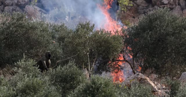 مستوطنون إسرائيليون يهاجمون قرية فلسطينية ويحرقون أشجار الزيتون ويصيبون صحفية ومدني