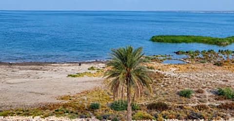 الحبانية تقترب من الامتلاء.. المياه تعود والسياحة وأرزاق الصيادين تنتعش