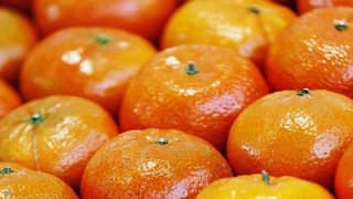 العراق أول مستورد لليوسفي التركي بـ360 مليون دولار خلال عام واحد