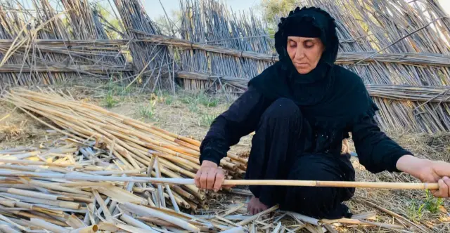 "اغتراب خارج الجنة".. كيف دمر الجفاف والنفط سكان أهوار العراق