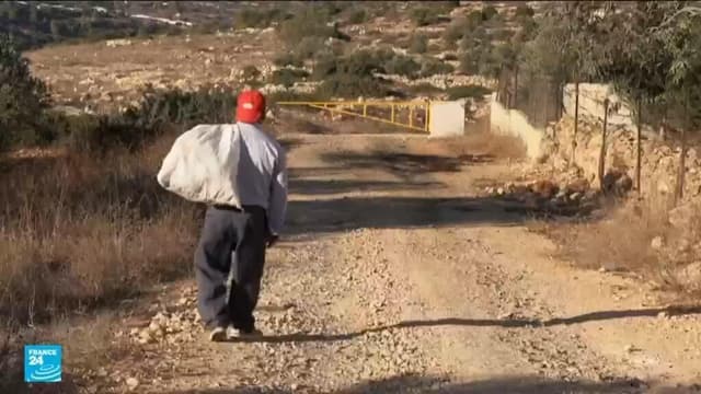 مخيم طولكرم: هل تفتح المحكمة العليا طرق العودة المغلقة؟