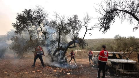 US journalist injured during Israeli settler attack on West Bank olive harvest