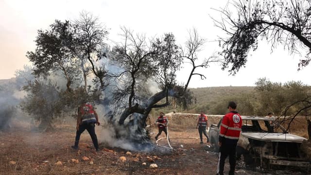 US journalist injured during Israeli settler attack on West Bank olive harvest