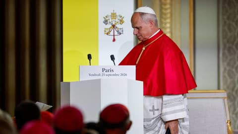 War, AI, secularism, surrogacy: what to take away from the Pope's speech