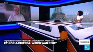 Ethiopia-Eritrea: Is there a risk of a wider conflict?