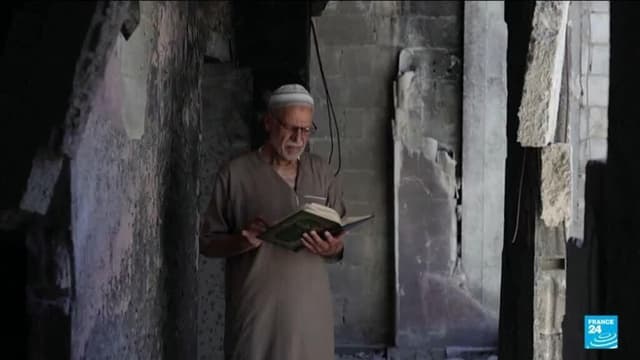 Syrian man reunited with secret library hidden for 15 years