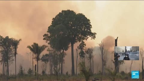 Brazil: Amazon deforestation at 40-year low