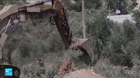 الجرافات الإسرائيلية تقتلع أشجار الزيتون في بلدة عرابة الفلسطينية قبل أسابيع من موسم القطاف