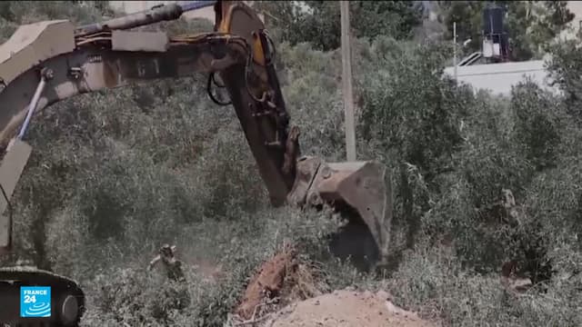 الجرافات الإسرائيلية تقتلع أشجار الزيتون في بلدة عرابة الفلسطينية قبل أسابيع من موسم القطاف