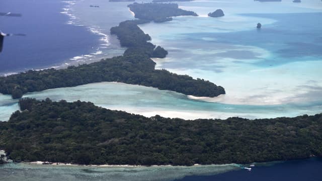 El Nino breaks Pacific temperature record as weather pattern intensifies