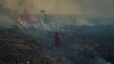 Months-long Indonesia wildfires spew toxic haze across Southeast Asia