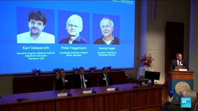 US, German scientists win Nobel medicine prize for work on light and brain