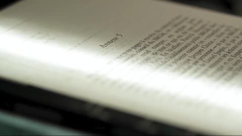 How books are being scanned and destroyed to train artificial intelligence