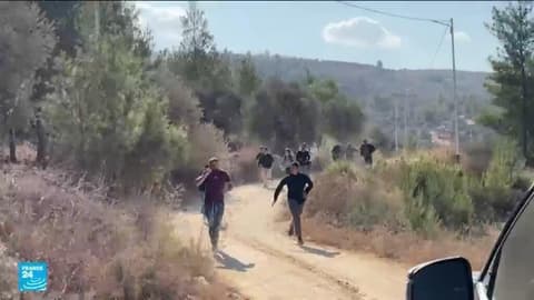الزيتون الفلسطيني تحت النار والحصار.. المستوطنون يوسعون اعتداءاتهم في الضفة الغربية