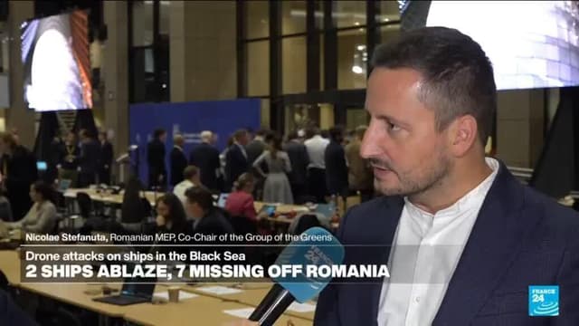 'It is clear that sooner or later we will have European casualties', Romanian MEP
