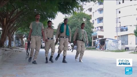 Tigray rebels in 'full-blown' war with government