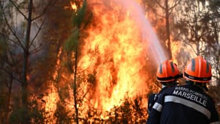 World set to breach 1.5°C warming limit set by Paris Climate Agreement