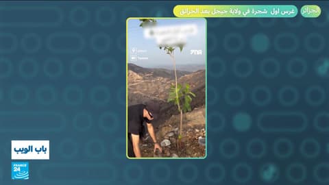 بعد الحرائق في الجزائر.. غرس أول شجرة في ولاية جيجل