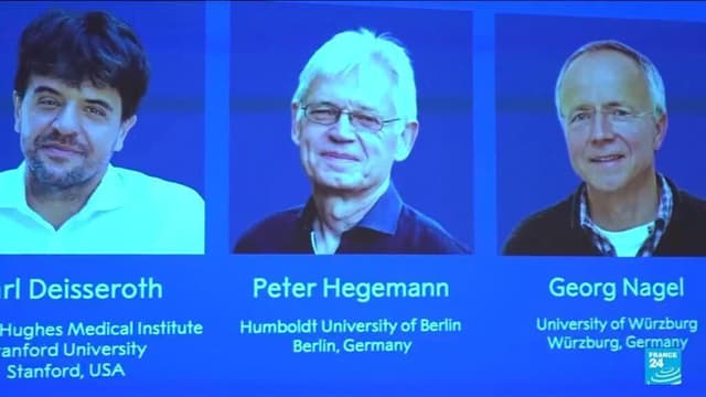 Switching on brain cells: the Nobel-winning science of optogenetics