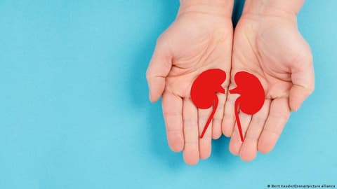 Germany news: Bundestag to discuss opt-out organ donation