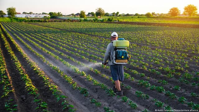 EU moves to loosen rules on pesticide use as experts sound the alarm