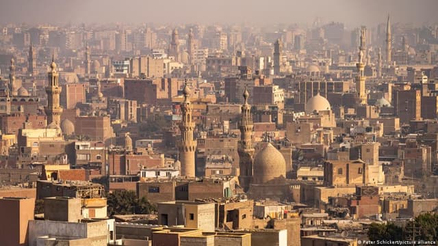 "حرب" مصر على أشجارها.. من يقف وراءها ومن يدفع الثمن؟