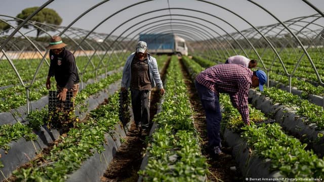 Spain grows fruit and vegetables for Europe — but it's running out of water