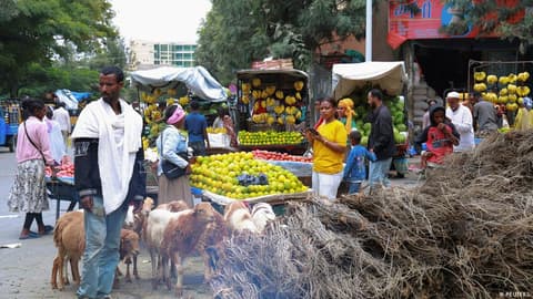 Ethiopia: No regard for civilians as fighting in Ethiopia's Tigray region continues