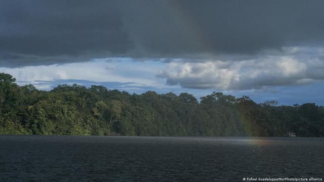 Brazil: Amazon deforestation lowest in nearly 40 years