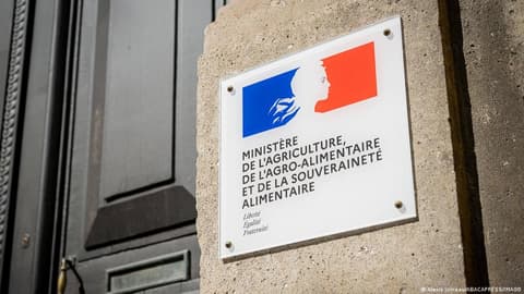 France confirms first Shamonda virus infection in a human death of 'severely immunocompromised' individual