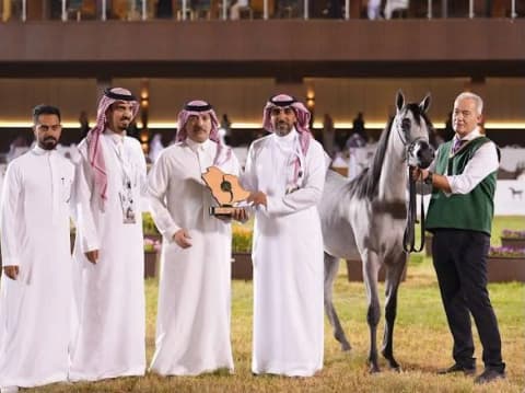 «نوف عذبة» و«الفهد» يحصدان الذهب في بطولة جمال الخيل العربية