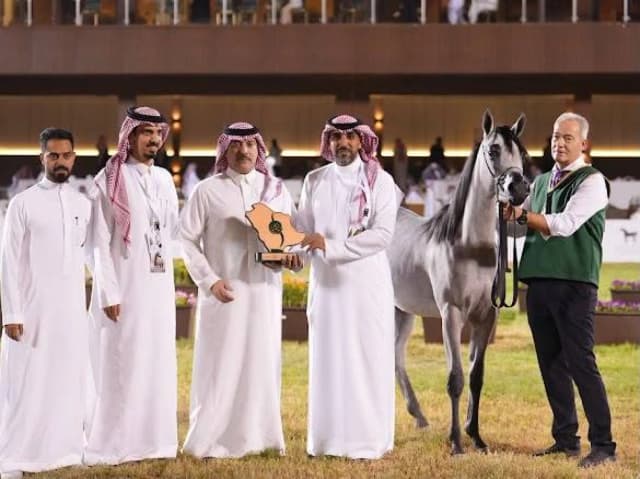 «نوف عذبة» و«الفهد» يحصدان الذهب في بطولة جمال الخيل العربية