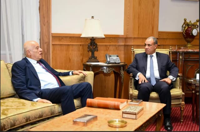 مصر تشدد على أولوية «ترتيب البيت الفلسطيني»