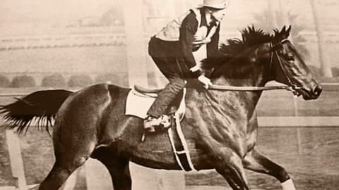 Seabiscuit’s California ranch became a conservation haven for wetlands