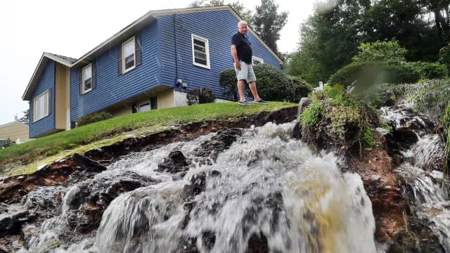 In 1999, scientists dropped 45 tons of wollastonite over a 29-acre New Hampshire watershed