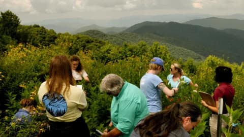 In 1964, a couple bought 535 acres in North Carolina and built a summer home there; decades later...