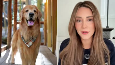 TikTok Dog Dies At 8: Internet star Tucker Budzyn dies after chemo complication; fans mourn online