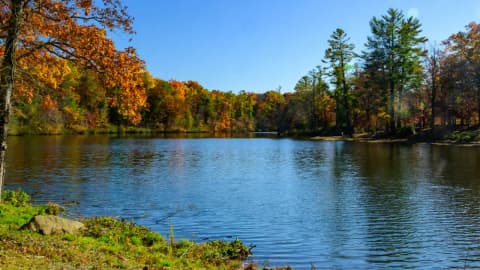 How Kentucky protected a vast elk landscape