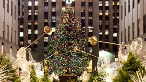 Since 2007, Rockefeller Center Christmas tree lumber has helped build homes across the US