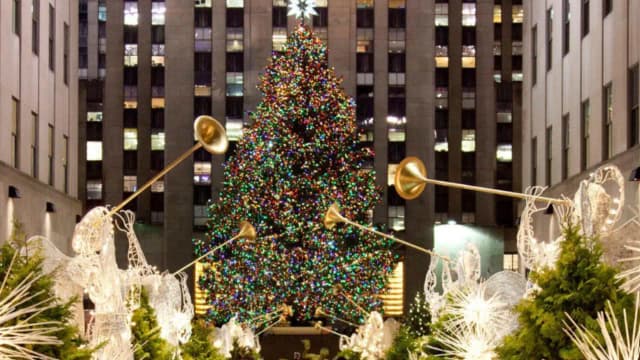 Since 2007, Rockefeller Center Christmas tree lumber has helped build homes across the US