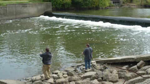 After Brecksville Dam was removed, free-flowing habitat linked to Lake Erie more than doubled to 71 km