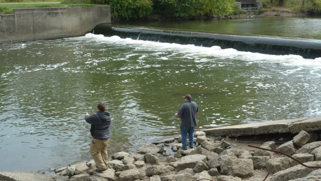 After Brecksville Dam was removed, free-flowing habitat linked to Lake Erie more than doubled to 71 km